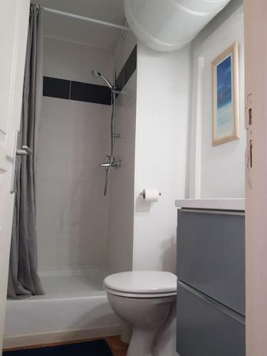 une salle de bain blanche avec toilettes et douche dans l'établissement Studio meublé climatisé centre port cap d'Agde, au Cap d'Agde