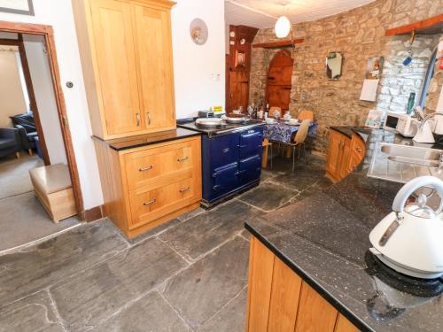 a kitchen with wooden cabinets and a counter top at Llwyngwair Lodge in Newport Pembrokeshire