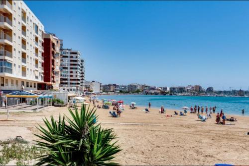 Torreviejaplace