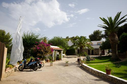 Κήπος έξω από το Hotel Club Can Jordi