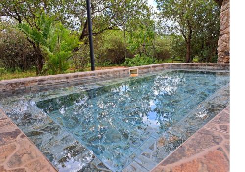 a swimming pool with clear blue water at Lion King in Marloth Park