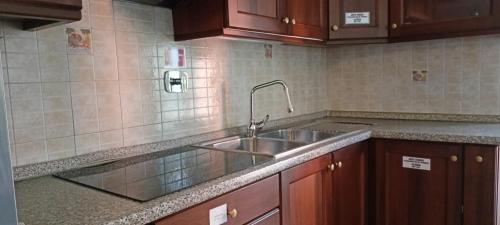 皮內羅洛的住宿－Casa Caty，厨房配有不锈钢盥洗盆和木柜