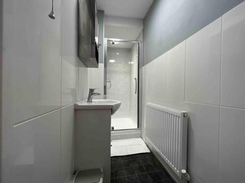 uma casa de banho branca com um lavatório e um chuveiro em Modern 2 BR Flat in Town Centre em Aberystwyth