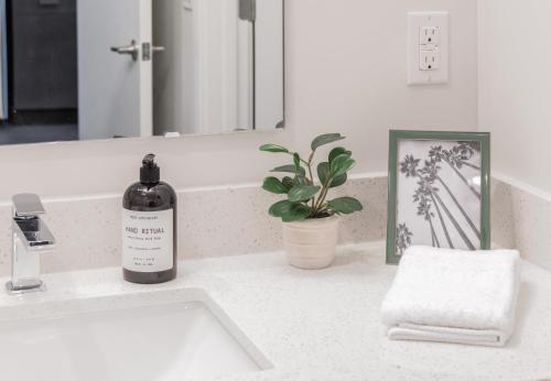 a bathroom sink with a bottle of soap and a plant at Cozysuites l Stylish 1BR in Downtown Cincinnati in Cincinnati
