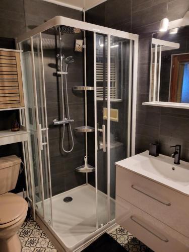 une salle de bain avec une douche, des toilettes et un lavabo dans l'établissement Maison de moyenne montagne baignée par le soleil, à La Côte-dʼAime