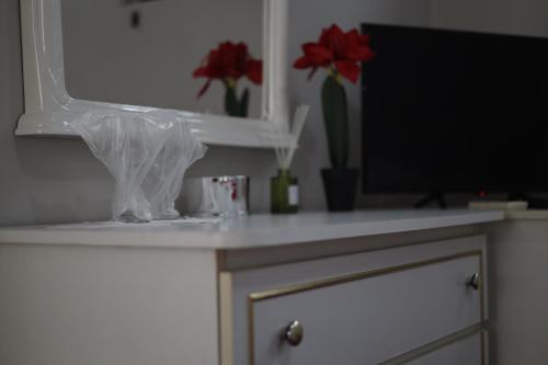 Fotografie z fotogalerie ubytování Hotel Casa Italia v destinaci Calafat