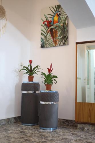 Fotografie z fotogalerie ubytování Hotel Casa Italia v destinaci Calafat