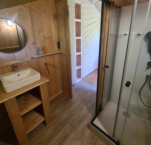 a bathroom with a sink and a glass shower at Ferienwohnungen Georgenbruch in Everswinkel