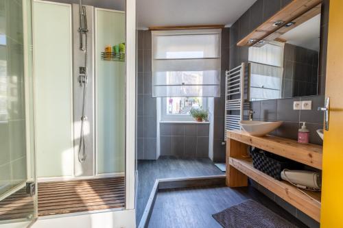 W łazience znajduje się prysznic i umywalka. w obiekcie La Maison Perchée w mieście Thiers