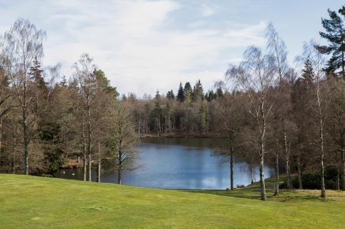 een uitzicht op een meer in een park met bomen bij The Clock Tower in Selkirk