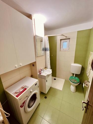 een kleine badkamer met een wasmachine bij Adona Residence in Oradea