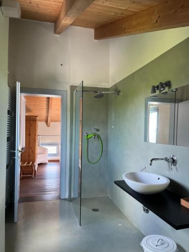 a bathroom with a sink and a glass shower at Corte Mondina in Gazoldo degli Ippoliti