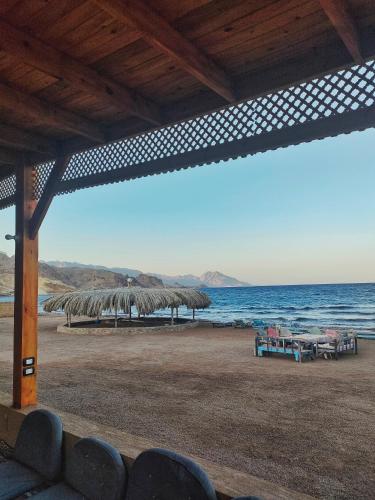 Luna Beach Camp – Photos 2