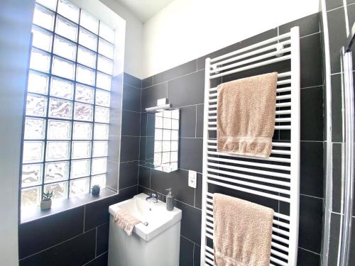 ein Badezimmer mit einem WC, einem Waschbecken und einem Spiegel in der Unterkunft Au logement mosan in Namur