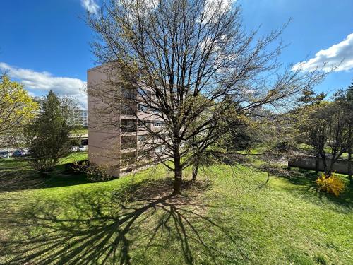 un arbre dans l'herbe devant un bâtiment dans l'établissement Royale London Signature, à Annemasse