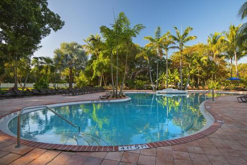 a swimming pool at a resort with palm trees at Hawks Cay Resort in Marathon