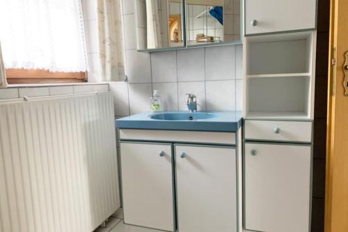 a bathroom with white cabinets and a blue sink at Pavillon in Stinteck/Westerdeichstrich bei Büsum in Westerdeichstrich