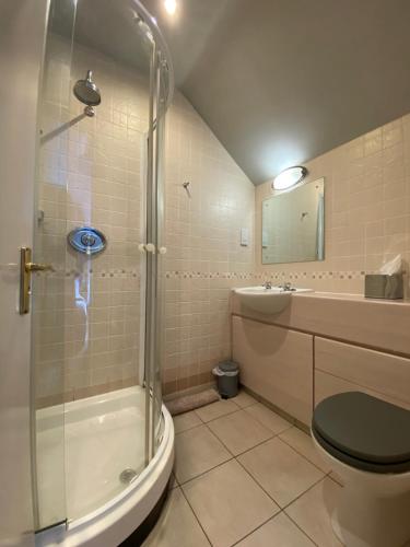 a bathroom with a shower and a toilet and a sink at The Egerton Arms Astbury in Congleton