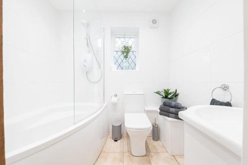 een witte badkamer met een toilet en een wastafel bij Potter's Wheel in High Nibthwaite