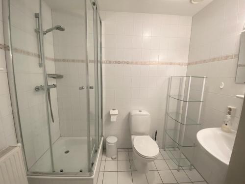 a bathroom with a shower and a toilet and a sink at Terminated in Cadzand