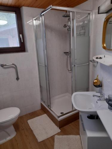 a bathroom with a shower and a toilet and a sink at Studio Eržen in Zgornje Gorje