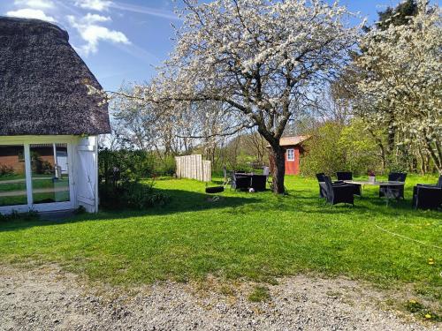 a yard with chairs and a tree and a house at Ferienhof Faebrogaard in Skærbæk