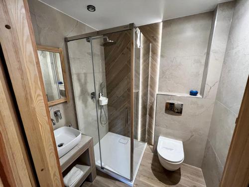 a bathroom with a shower and a toilet and a sink at POD ROŻKAMI in Cisna