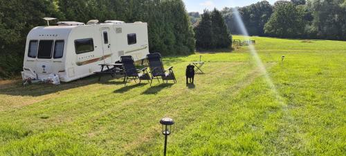 a dog standing in a field next to an rv at Park Farm Holidays Glamping in Lyndhurst