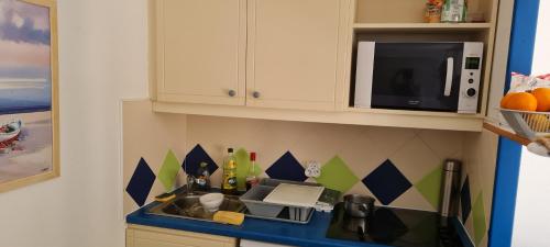 une petite cuisine avec un évier et un micro-ondes dans l'établissement sylvabelle, à La Croix-Valmer