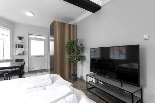 Uma TV ou centro de entretenimento em Cozy 2 Bedroom Apartment in Central Reykavik