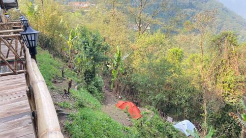a view of a forest with a tent on a hill at Deoja Forest Stay in Darjeeling