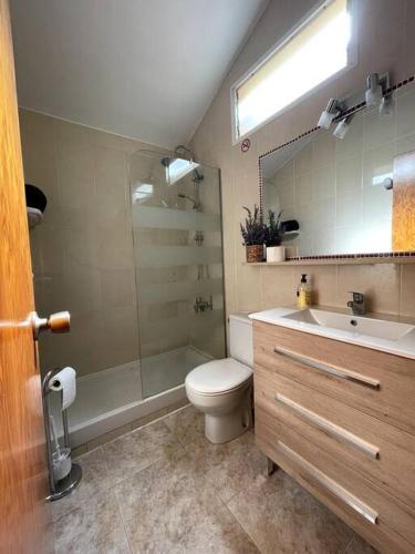 a bathroom with a shower and a toilet and a sink at VILLA LUZ SUITE in Maspalomas
