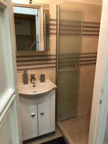 a bathroom with a sink and a shower with a mirror at Móra apartman 3. in Kiskunfélegyháza