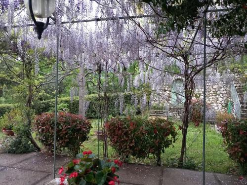 Zahrada ubytování Il Bruco appartamenti in b&b