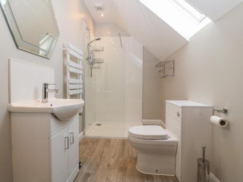 uma casa de banho com um WC, um lavatório e um chuveiro em 1 Crud Y Mor em Barmouth