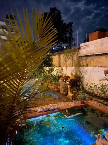 a backyard with a swimming pool and a palm tree at Three Jewels Boutique Hotel in Pokhara