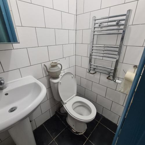 a bathroom with a white toilet and a sink at 2 Bedroom w/shower flat, ALL TO YOU, not shared in Brentford