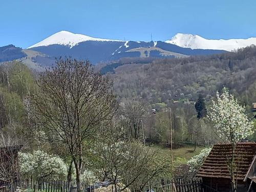 een uitzicht op een berg met besneeuwde bergen bij Fely Room in Petroşani