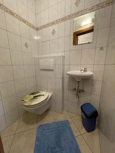 a bathroom with a toilet and a sink at Landhaus Sonne in Maishofen