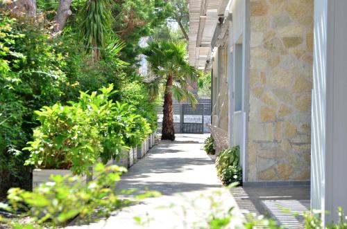 Taman di luar Alekos Luxury Suites - Free 24hr Transformation From To Airport