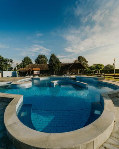 uma grande piscina com água azul em Terme Banovci - Hotelsko naselje Zeleni gaj em Banovci