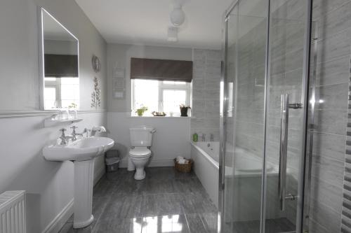 a bathroom with a toilet and a sink and a shower at Lurgan House in Westport