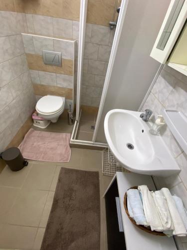 y baño con lavabo y aseo. en Eszter Apartman, en Balatonmáriafürdő