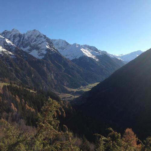 a mountain valley with trees and snow capped mountains at Ögghof 222 in Kaunertal