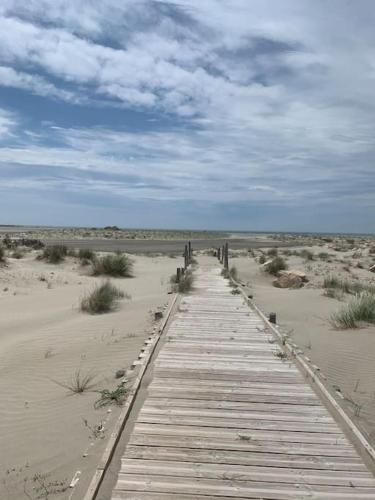 a wooden boardwalk in the middle of the desert at "Le nature" Camargue Jardin in Arles
