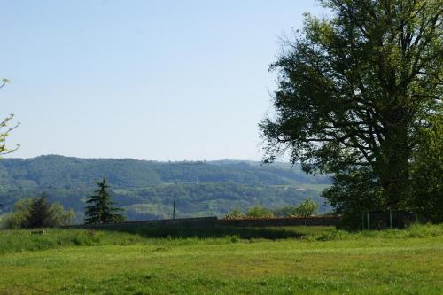 a field with a tree and mountains in the background at Les Cabanes du Grand Nord in Pradines