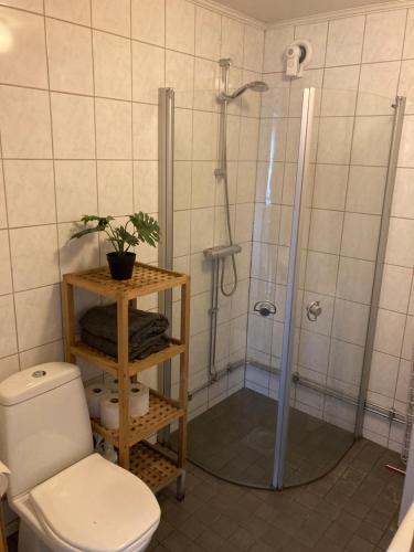 a bathroom with a shower and a toilet at Fint boende i vackra Marielund in Uppsala