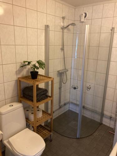 Koupelna v ubytování Fint boende i vackra Marielund