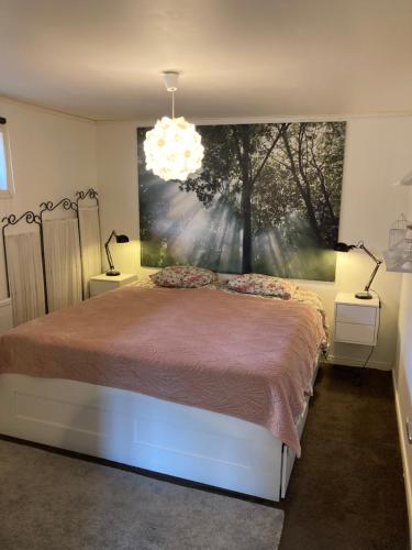 烏普薩拉的住宿－Fint boende i vackra Marielund，一间卧室配有一张壁画大床