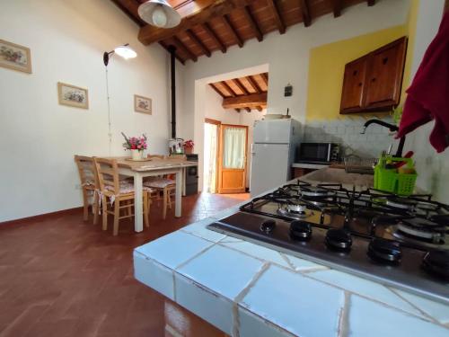 eine Küche mit einem Herd und einem Tisch mit Stühlen in der Unterkunft Il Fienile tra gli Ulivi in Lamporecchio